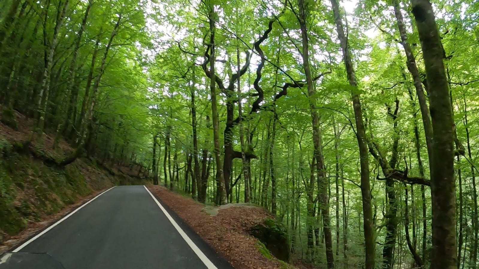 Moto TravelHub